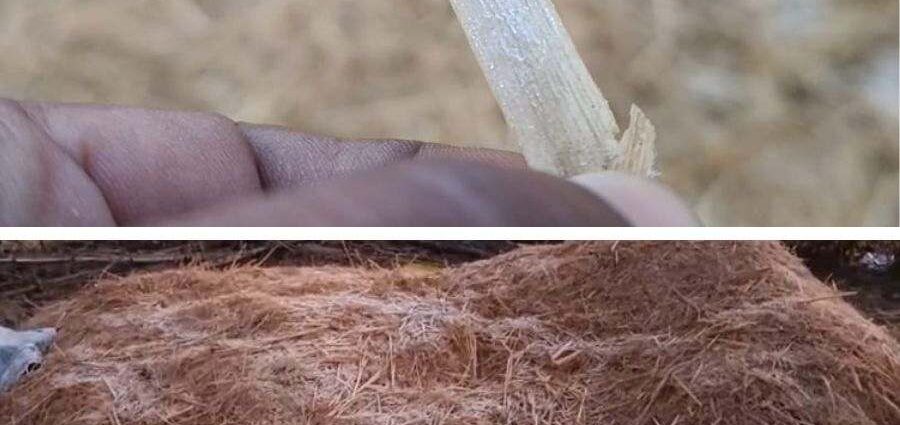 পুরুলিয়ায় বরফ! দেখতে ভিড় স্থানীয়দের, আগে কখনও দেখেছেন? মনে করতে পারছেন না কেউই