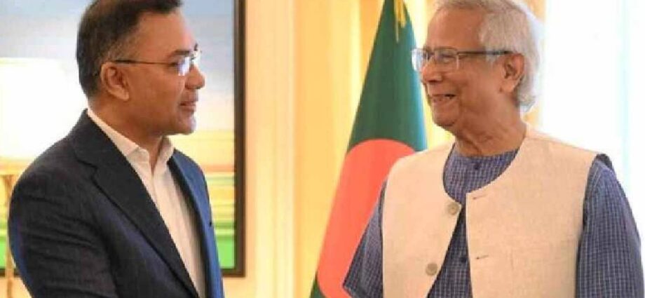 ২০ বছর পর ক্ষমতায় বিএনপি: শপথ গ্রহণ নিয়ে সাংবিধানিক জটিলতায় বিলম্বিত হচ্ছে সরকার গঠন