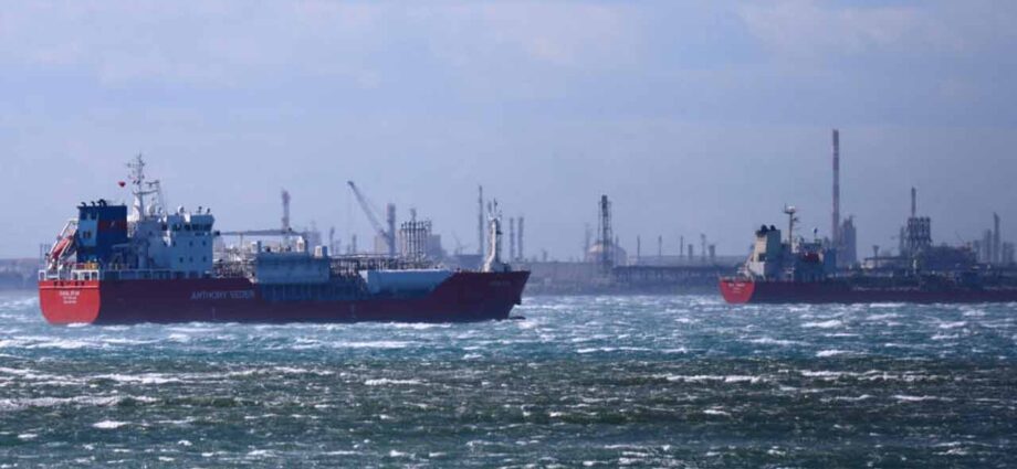 হরমুজ কাটিয়ে ভারতে পৌঁছাল এলপিজি ট্যাঙ্কার: জোগান নিয়ে দেশবাসীকে আশ্বস্ত করল কেন্দ্র