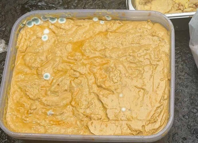 কলকাতার ডেকার্স লেনসহ বিভিন্ন সস্তার খাবারের দোকানে খাদ্যসুরক্ষা দফতরের হানা, উদ্ধার পচা মিষ্টি