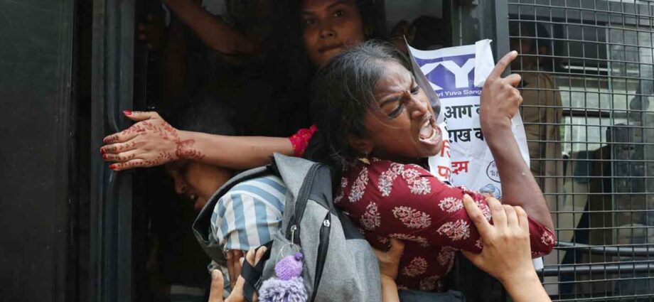 এসআইআর প্রক্রিয়ার বিরোধিতায় নির্বাচন সদন অভিযান: দিল্লিতে শতাধিক বিক্ষোভকারী আটক, ধর্নায় বৃন্দা কারাত