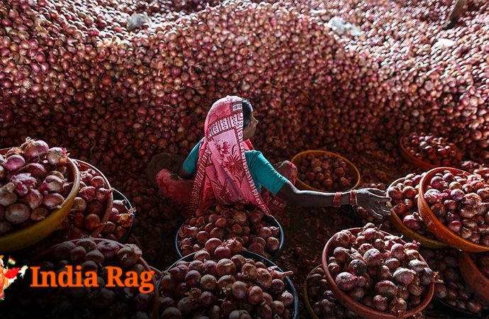 আম জনতার জন্য স্বস্তি, এখন আর কাঁদাবে না পিঁয়াজের দাম! বড় পদক্ষেপ নিলো মোদী সরকার