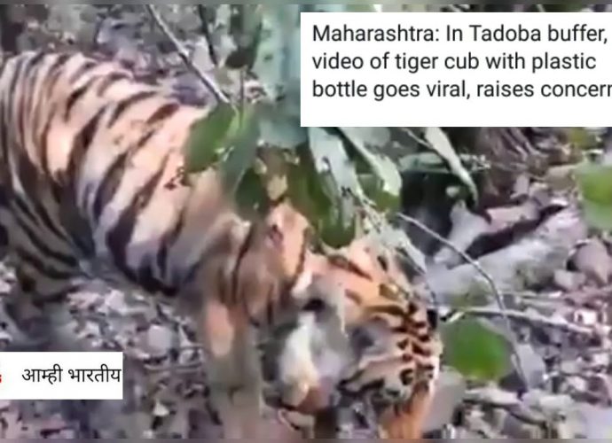 প্লাস্টিকের আবর্জনা মহাসঙ্কট ডেকে আনছে