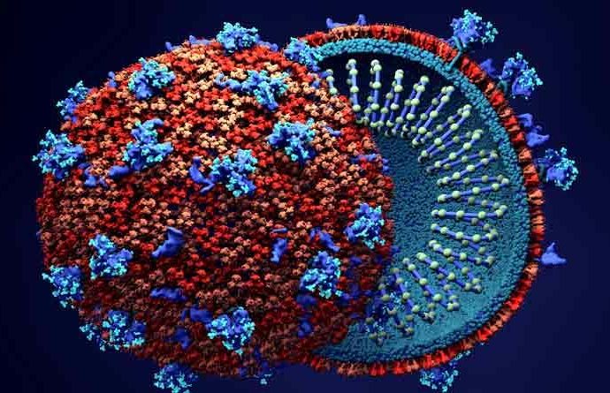 করোনা আক্রান্তের সংখ্যা ফের বাড়তে শুরু করেছে মহারাষ্ট্রে
