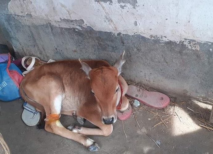 সাম্প্রদায়িকতার তকমা গায়ে লেগে যাবার ভয়ে হিন্দুরা যত ঘরে ঢুকে যাবে অন্যরা ততটাই আক্রমণাত্মক হয়ে উঠবে