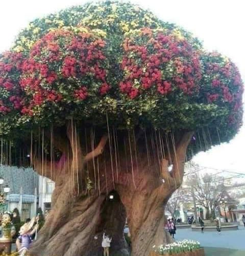 “হে নবীন, তুমি তবে পুরনোর সাথে জুড়ে থেকো আজীবন, তুমিই তো তার অবলম্বন, তুমিই তার ভরসা, এখন তুমি সাবান হও বা মানুষ, ক্ষয় কে মান দিয়ে, ভালোবেসে আগলে রেখো প্রবীণরে !!”