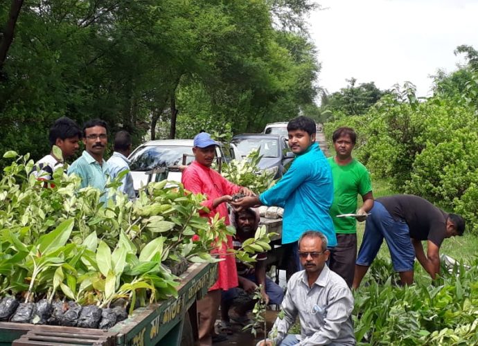 বৃক্ষরোপণ অভিযান ‌‌