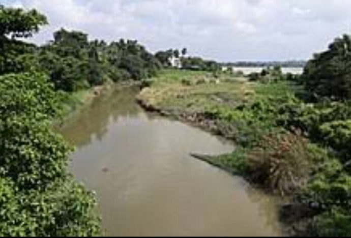 সরস্বতী নদীর পুনরুদ্ধারে গঠিত কমিটির কার্যকারিতা নিয়ে উঠছে প্রশ্ন সরস্বতী নদীর পুনরুদ্ধারে গঠিত কমিটির কার্যকারিতা নিয়ে উঠছে প্রশ্ন