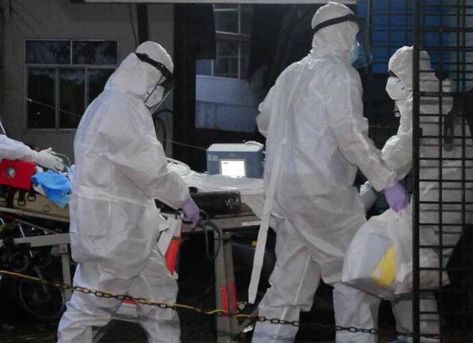 নিপা আতঙ্ক: পশ্চিমবঙ্গ থেকে আসা পর্যটকদের স্ক্রিনিং শুরু করল থাইল্যান্ড ও প্রতিবেশী দেশগুলো