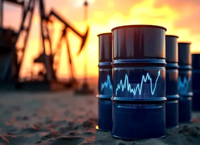 জ্বালানি সংকটে বিধ্বস্ত পাকিস্তান: স্কুল বন্ধ ও সরকারি দফতরে ‘ওয়ার্ক ফ্রম হোম’ ঘোষণা শরিফ সরকারের