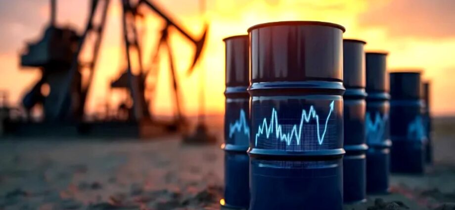 জ্বালানি সংকটে বিধ্বস্ত পাকিস্তান: স্কুল বন্ধ ও সরকারি দফতরে ‘ওয়ার্ক ফ্রম হোম’ ঘোষণা শরিফ সরকারের