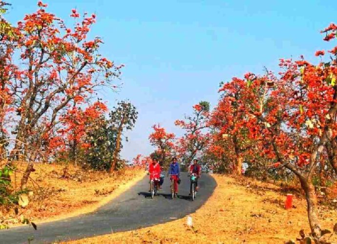 বিলীয়মান বসন্ত: জলবায়ু পরিবর্তনের কোপে বাংলা-সহ গোটা উপমহাদেশ, অশনি সংকেত আবহাওয়াবিদদের