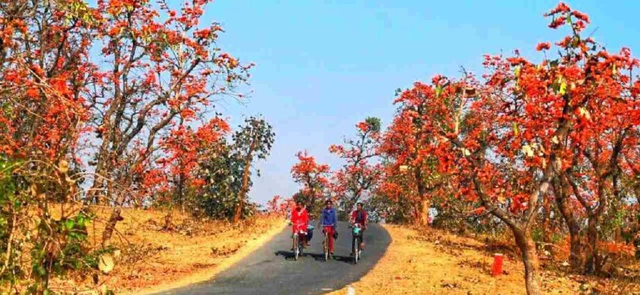 বিলীয়মান বসন্ত: জলবায়ু পরিবর্তনের কোপে বাংলা-সহ গোটা উপমহাদেশ, অশনি সংকেত আবহাওয়াবিদদের