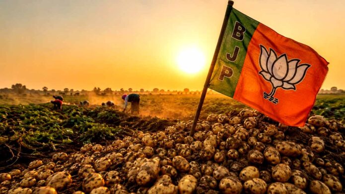 আলুবলয়ে ‘পদ্ম’ ফুটতেই বড় সিদ্ধান্ত: ভিনরাজ্যে আলু রফতানির সমস্ত নিষেধাজ্ঞা প্রত্যাহার করলেন মুখ্যমন্ত্রী শুভেন্দু